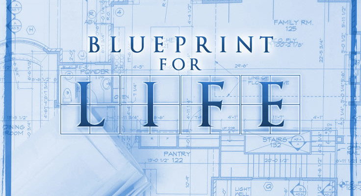 Blueprint For Life