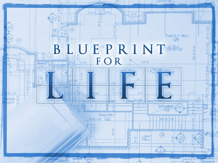 Blueprint For Life